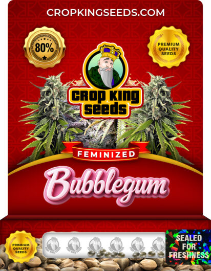 Bubblegum Strain