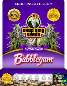 Bubblegum Autoflowering Marijuana Seeds