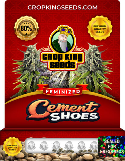Cement Shoes Strain