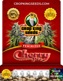 Cherry Pie Strain