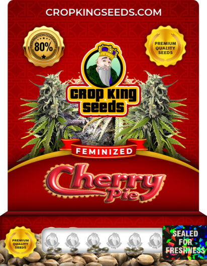Cherry Pie Strain
