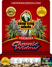 Chronic Widow Strain