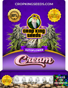 Cream Strain