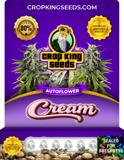 Cream Strain