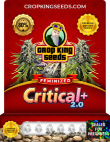 Critical 2.0 Strain