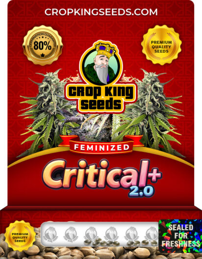 Critical 2.0 Strain
