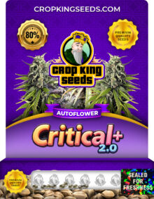 Critical + 2.0 Strain