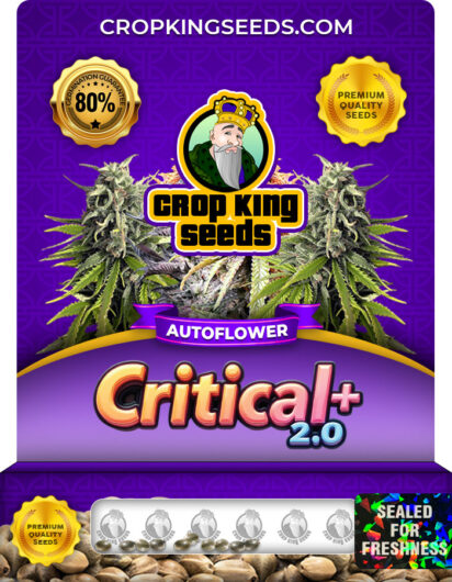 Critical + 2.0 Strain