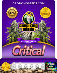 Critical Strain