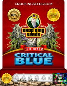 Critical Blue Strain