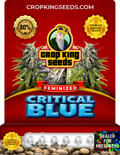 Critical Blue Strain
