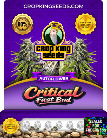 Critical Fast Bud Strain