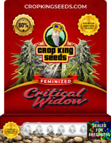 Critical Widow Strain