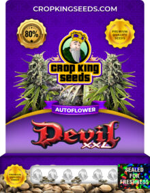 Devil XXL