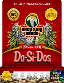 Do-Si-Dos Strain