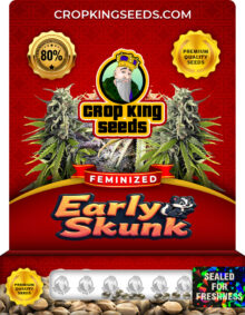 Early Skunk Strain