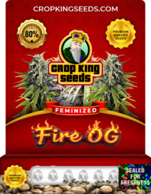 Fire OG Strain