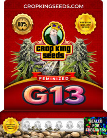 G13 Strain