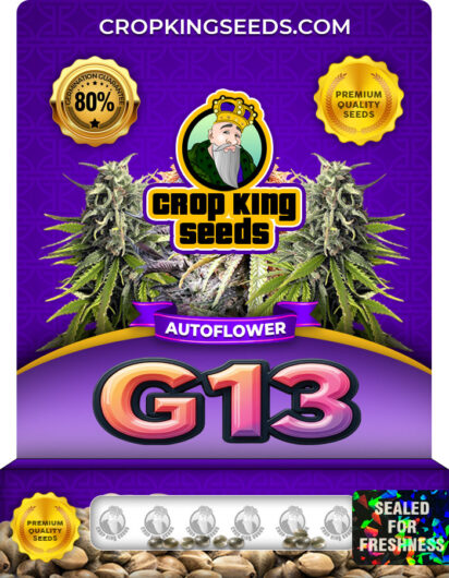 G13 Strain
