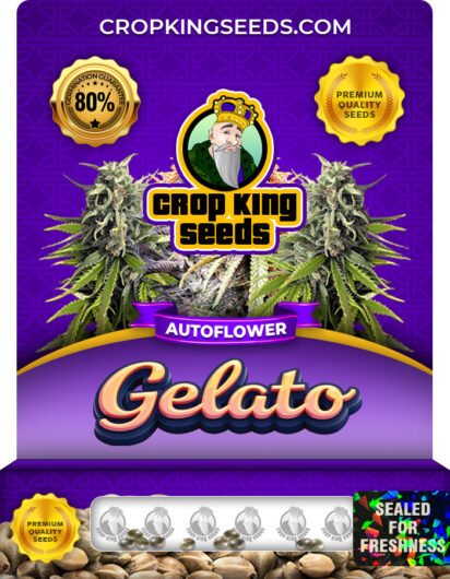 Gelato Strain