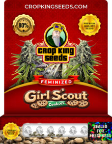 Girl Scout Cookies Strain