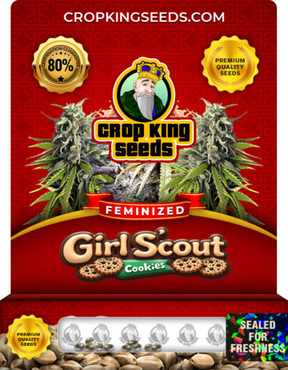 Girl Scout Cookies Strain