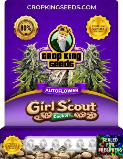 Girl Scout Cookies Strain