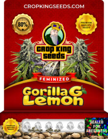 Gorilla G Lemon Strain