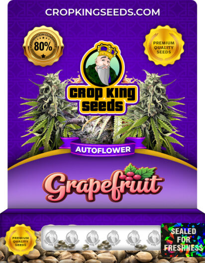 Grapefruit Strain