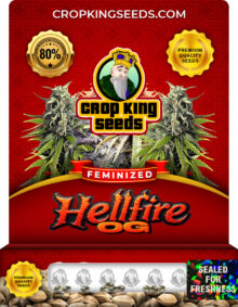 Hellfire OG Strain