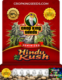 Hindu Kush Feminized Marijuana Seeds