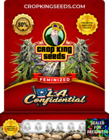 L.A. Confidential Strain