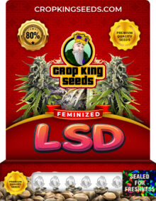 LSD Strain