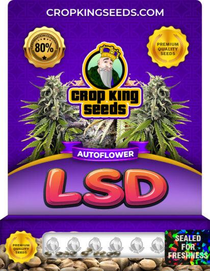 LSD Strain
