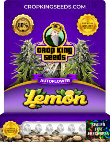 Lemon Strain