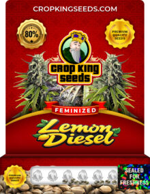 Lemon Diesel Strain