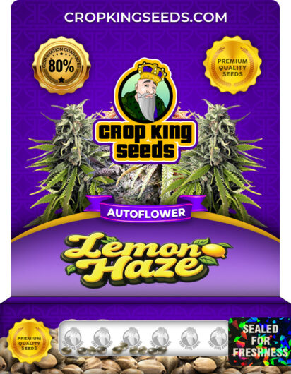 Lemon Haze