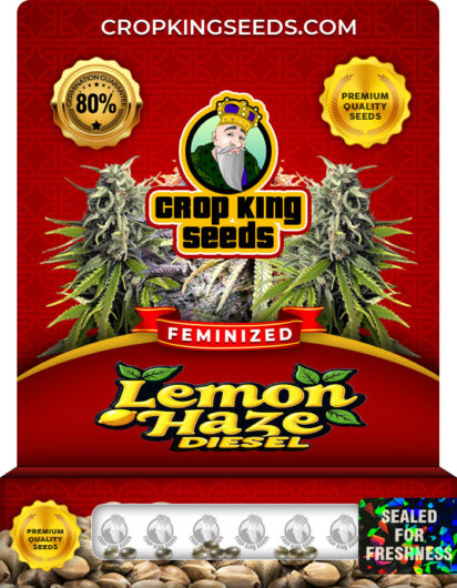 Lemon Haze Diesel
