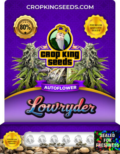 Lowryder Strain