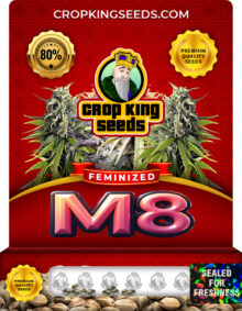 M8 Strain