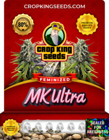 Mk Ultra Strain