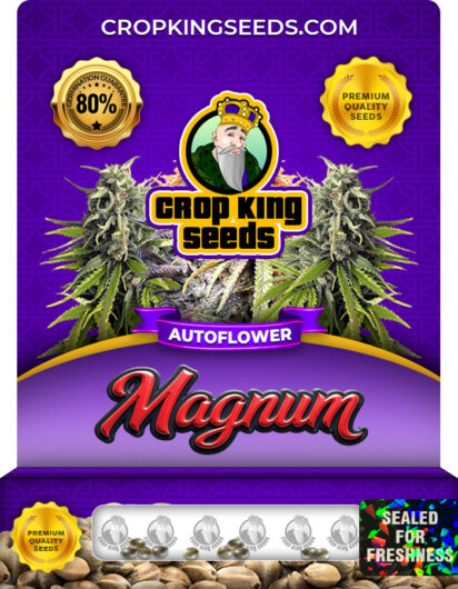 Magnum Strain