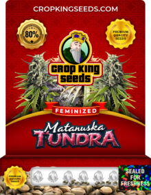 Matanuska Tundra Strain
