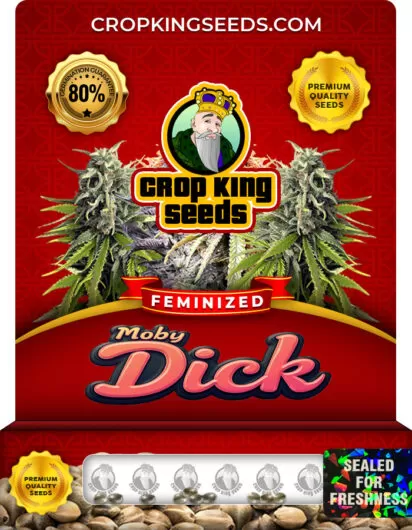 Moby Dick Strain