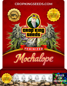 Mochalope Strain