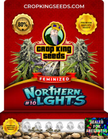 Northern Lights #10 Strain