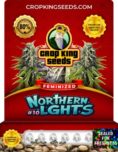 Northern Lights #10 Strain