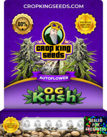 OG Kush