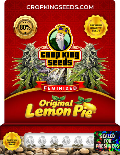 Original Lemon Pie Strain