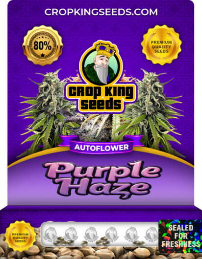 Purple Haze